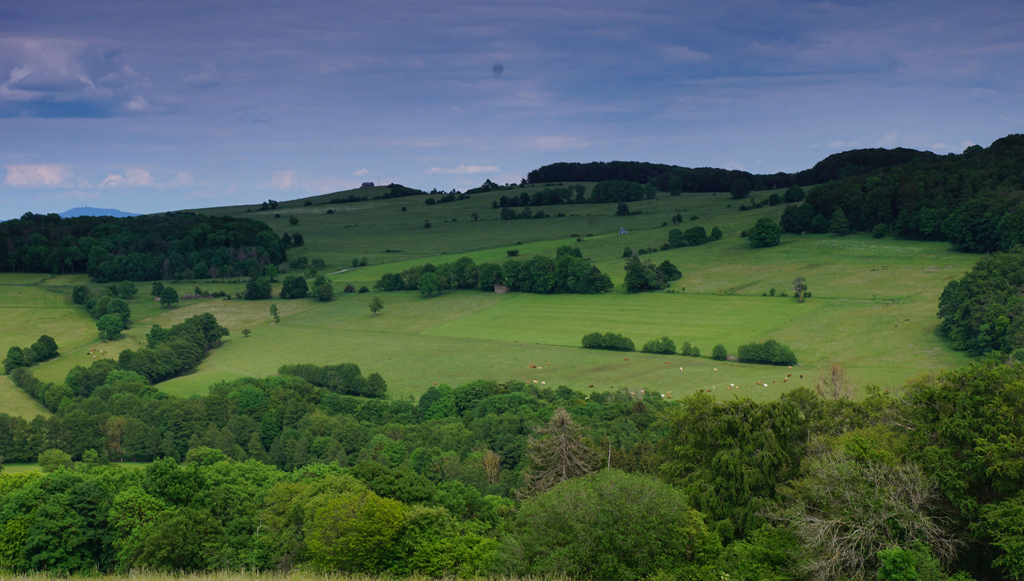 Ferien auf dem Bauernhof